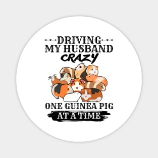 Driving My Husband Crazy One Guinea Pig At A Time Magnet